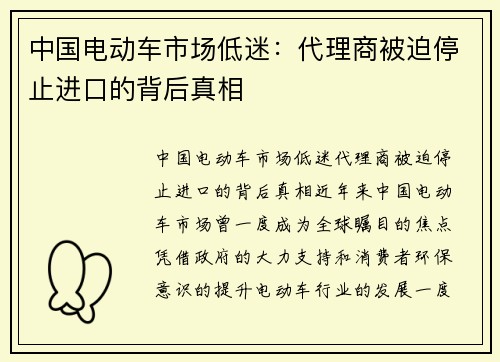 中国电动车市场低迷：代理商被迫停止进口的背后真相